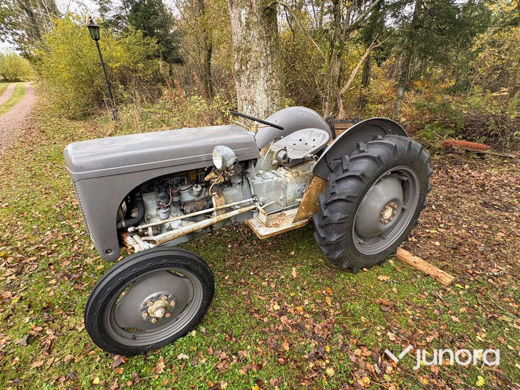 Grolle Massey Fergusson - Traktor: bild 1 Grolle Massey Fergusson - Traktor: bild 1