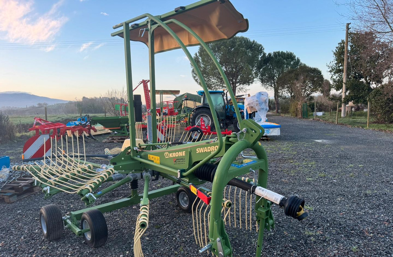 Ranghinatore - Hövändare: bild 5 Ranghinatore - Hövändare: bild 5