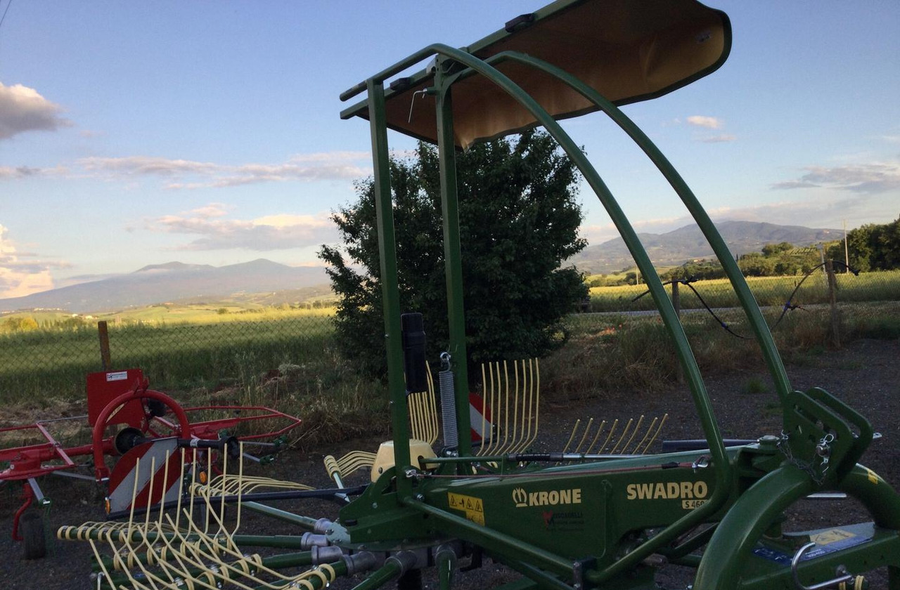 Ranghinatore - Hövändare: bild 3 Ranghinatore - Hövändare: bild 3