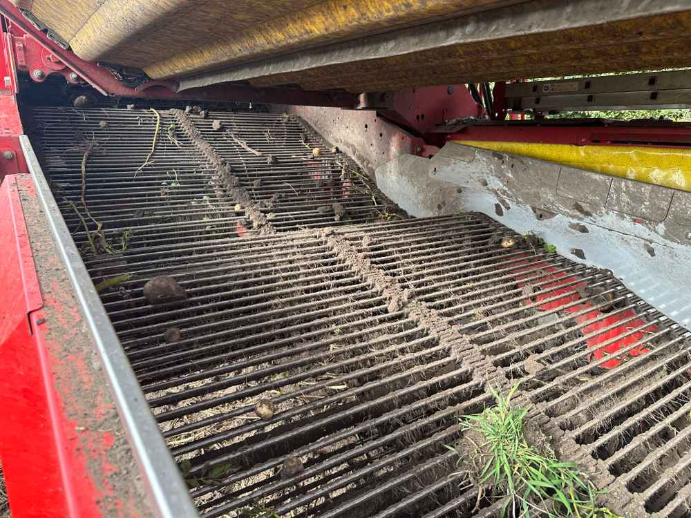 Grimme EVO 280 ClodSep GEN II - Skördemaskin: bild 5 Grimme EVO 280 ClodSep GEN II - Skördemaskin: bild 5