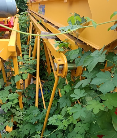 XCMG Official Small Tower Crane XGT6013-6S1 Max Load 6t Used Topless Tower Crane For Sale - Tornkran: bild 5 XCMG Official Small Tower Crane XGT6013-6S1 Max Load 6t Used Topless Tower Crane For Sale - Tornkran: bild 5