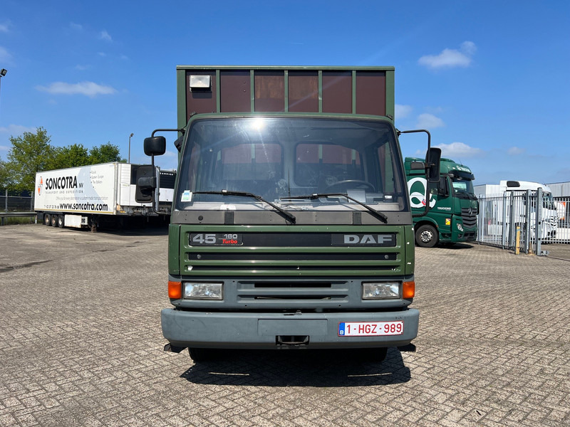DAF 45.160 - Hästbuss: bild 2 DAF 45.160 - Hästbuss: bild 2