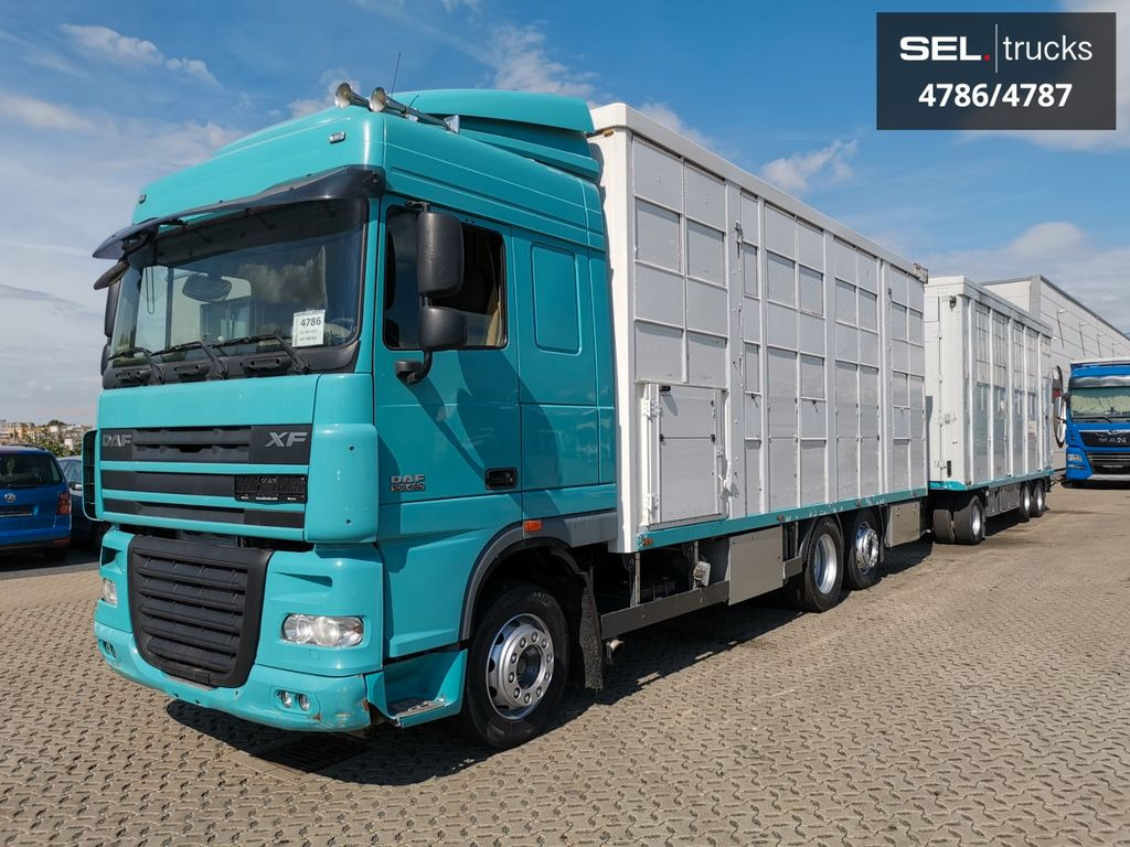 DAF XF 105.460 / Intarder / 4 Stock / KOMPLETT ! DAF XF 105.460 / Intarder / 4 Stock / KOMPLETT ! - Djurtransport lastbil: bild 2 DAF XF 105.460 / Intarder / 4 Stock / KOMPLETT ! DAF XF 105.460 / Intarder / 4 Stock / KOMPLETT ! - Djurtransport lastbil: bild 2