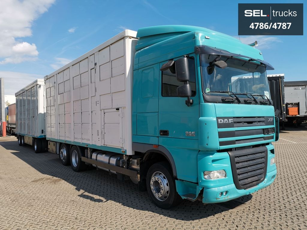 DAF XF 105.460  / Intarder / 4 Stock / KOMPLETT !  - Djurtransport lastbil: bild 4 DAF XF 105.460  / Intarder / 4 Stock / KOMPLETT !  - Djurtransport lastbil: bild 4