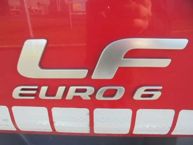 Liftdumper lastbil DAF LF LF 320: bild 17