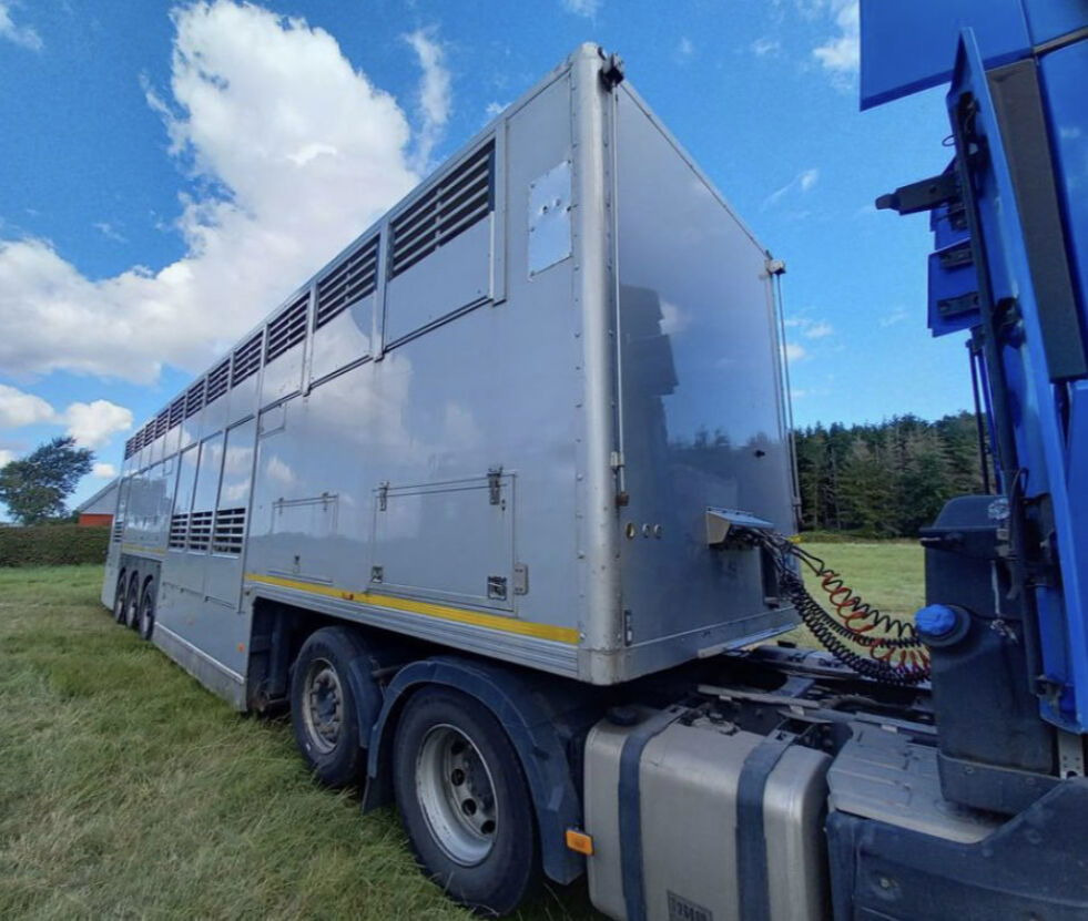 Gray and Adams Gadd3 / Works Great / Hydraulic / 2 Levels - Djurtransport semitrailer: bild 4 Gray and Adams Gadd3 / Works Great / Hydraulic / 2 Levels - Djurtransport semitrailer: bild 4