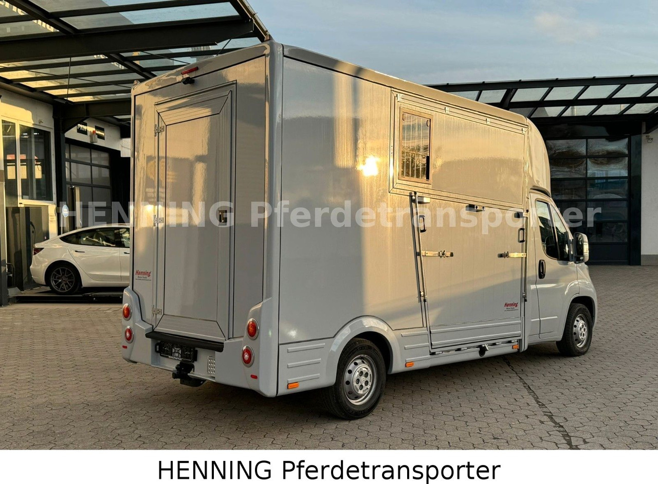 Citroën Jumper 3 - Sitzer - Djurtransport lastbil: bild 3 Citroën Jumper 3 - Sitzer - Djurtransport lastbil: bild 3
