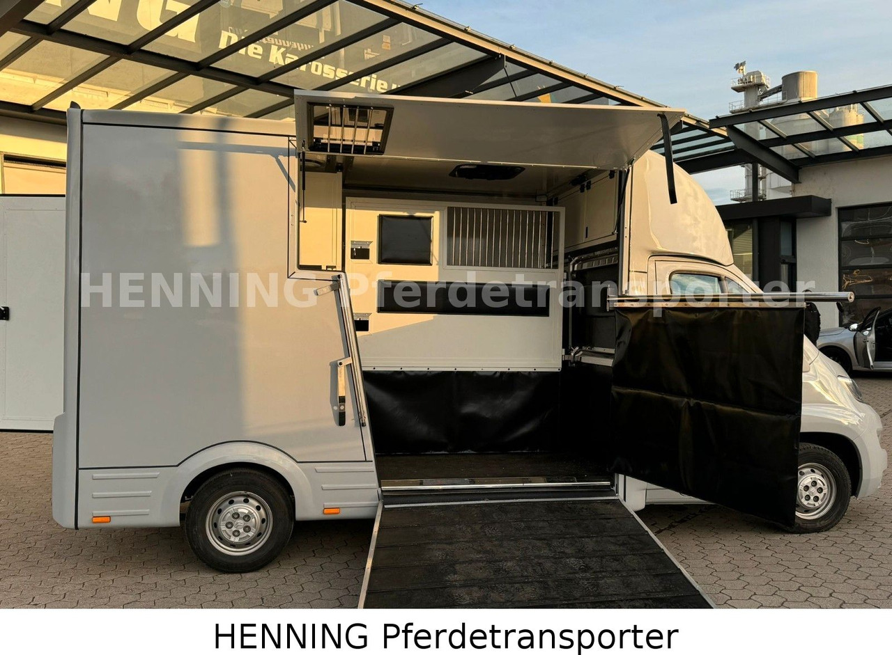 Citroën Jumper 3 - Sitzer - Djurtransport lastbil: bild 4 Citroën Jumper 3 - Sitzer - Djurtransport lastbil: bild 4