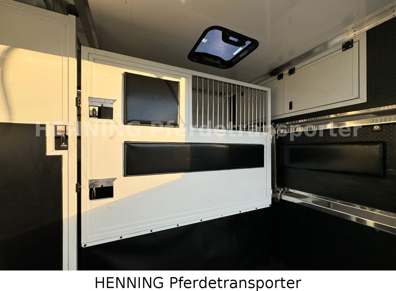 Citroën Jumper 3 - Sitzer - Djurtransport lastbil: bild 5 Citroën Jumper 3 - Sitzer - Djurtransport lastbil: bild 5