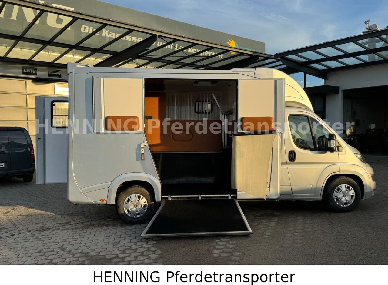 Fiat Ducato 5 - Sitzer PFERDETRANSPORTER - Djurtransport lastbil: bild 5 Fiat Ducato 5 - Sitzer PFERDETRANSPORTER - Djurtransport lastbil: bild 5