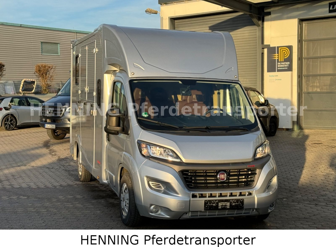 Fiat Ducato 5 - Sitzer PFERDETRANSPORTER - Djurtransport lastbil: bild 2 Fiat Ducato 5 - Sitzer PFERDETRANSPORTER - Djurtransport lastbil: bild 2