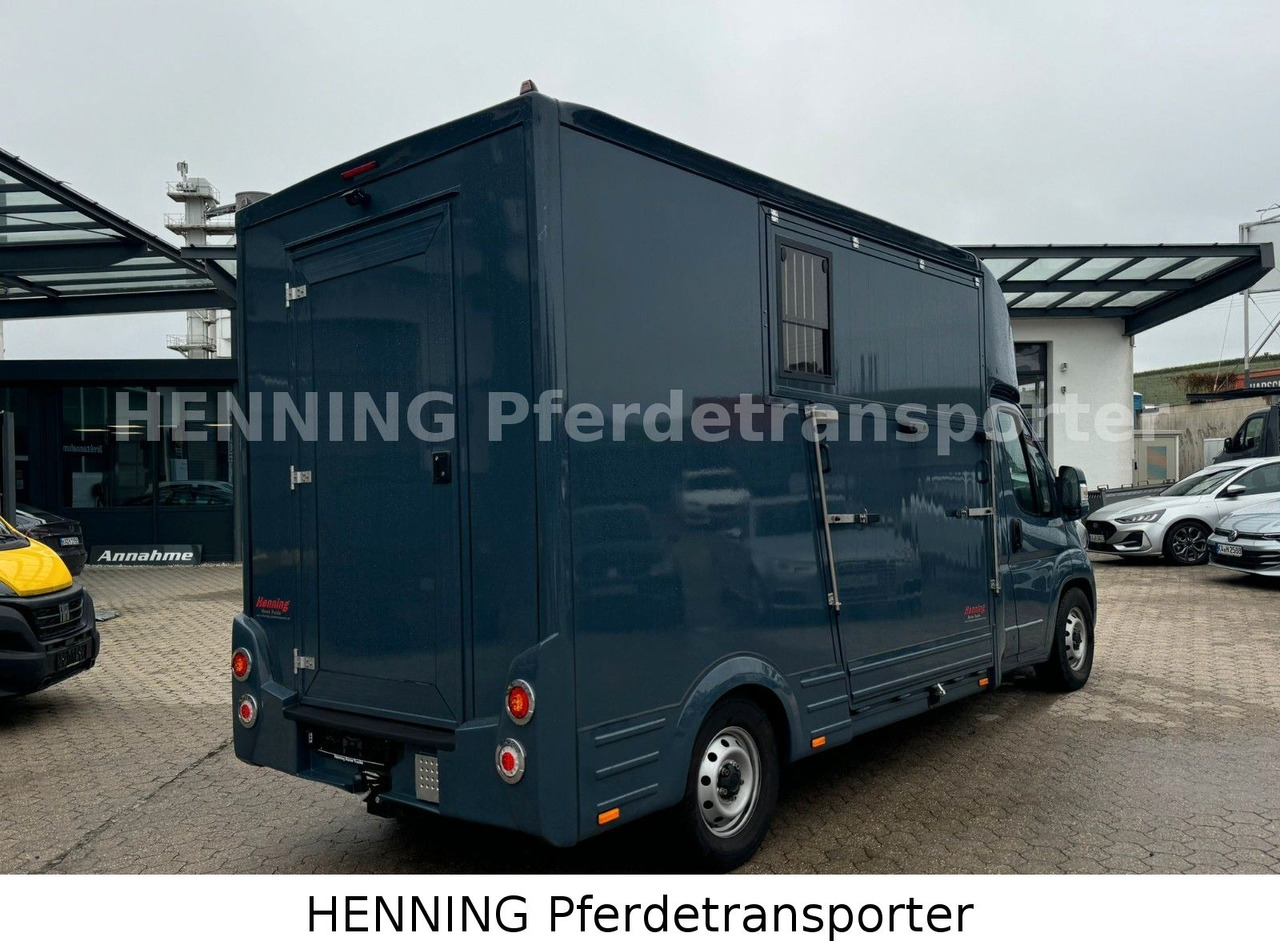 Fiat Ducato *AUTOMATIK* 3 - Sitzer - Djurtransport lastbil: bild 3 Fiat Ducato *AUTOMATIK* 3 - Sitzer - Djurtransport lastbil: bild 3