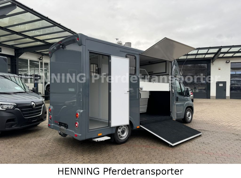 Fiat Ducato *NEUWAGEN* ca.1100 kg Nutzlast - Hästbuss: bild 3 Fiat Ducato *NEUWAGEN* ca.1100 kg Nutzlast - Hästbuss: bild 3