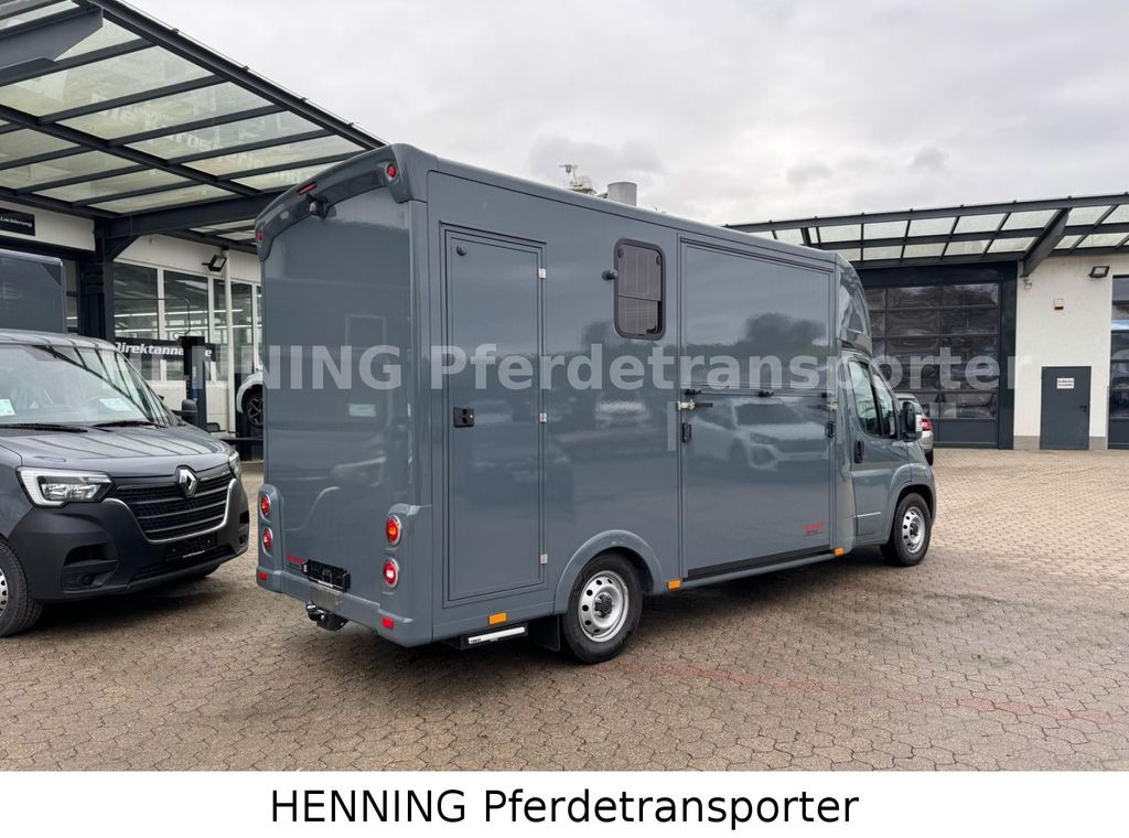 Fiat Ducato *NEUWAGEN* ca.1100 kg Nutzlast - Hästbuss: bild 2 Fiat Ducato *NEUWAGEN* ca.1100 kg Nutzlast - Hästbuss: bild 2