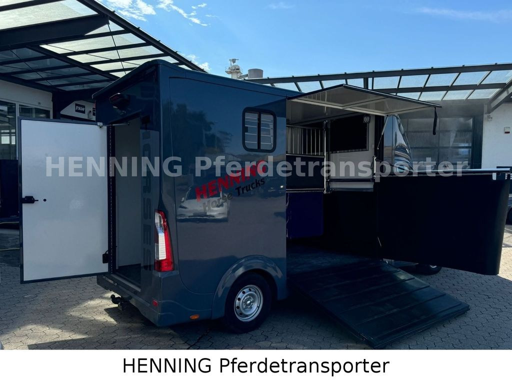 Opel Movano 3 - Sitzer *AUFBAU NEU* Opel Movano 3 - Sitzer *AUFBAU NEU* - Hästbuss: bild 3 Opel Movano 3 - Sitzer *AUFBAU NEU* Opel Movano 3 - Sitzer *AUFBAU NEU* - Hästbuss: bild 3