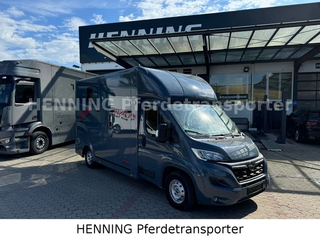 Opel Movano 3 - Sitzer *AUFBAU NEU* - Hästbuss: bild 1 Opel Movano 3 - Sitzer *AUFBAU NEU* - Hästbuss: bild 1