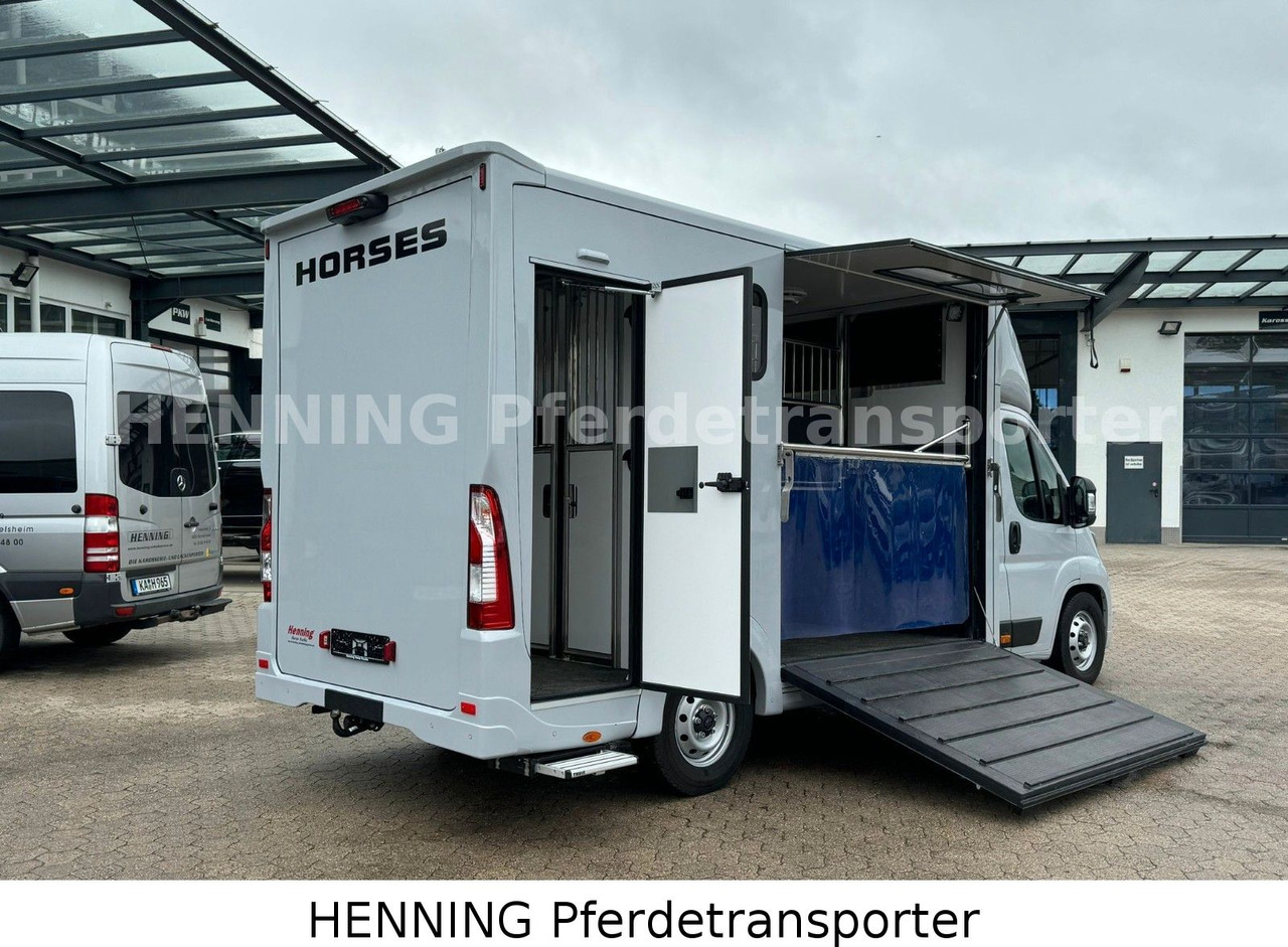 Peugeot Boxer 3 - Sitzer *GROSSE SATTELKAMMER* - Djurtransport lastbil: bild 4 Peugeot Boxer 3 - Sitzer *GROSSE SATTELKAMMER* - Djurtransport lastbil: bild 4