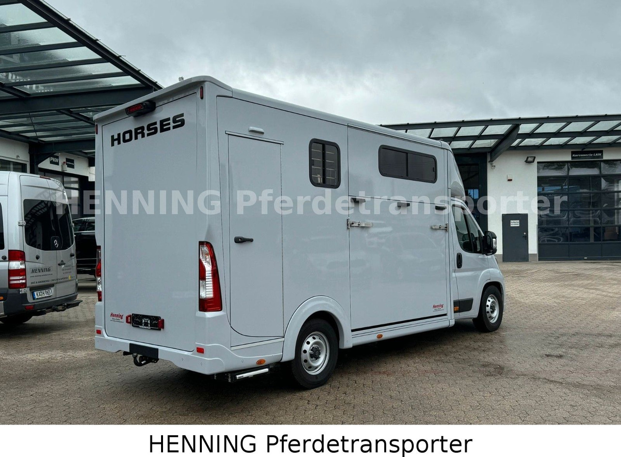 Peugeot Boxer 3 - Sitzer *GROSSE SATTELKAMMER* - Djurtransport lastbil: bild 3 Peugeot Boxer 3 - Sitzer *GROSSE SATTELKAMMER* - Djurtransport lastbil: bild 3