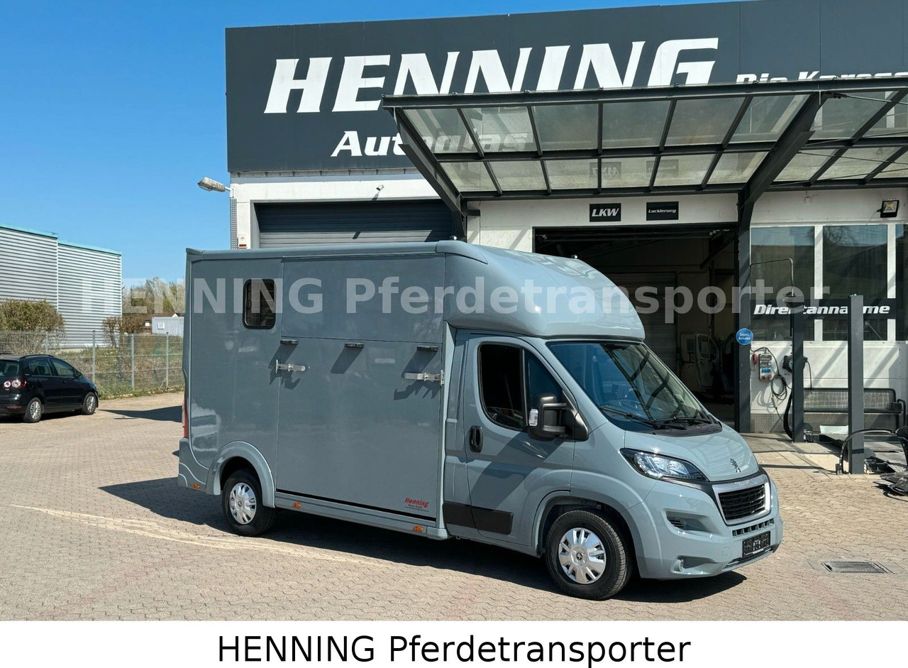 Peugeot Boxer 3-Sitzer *NEUWAGEN* 1000 KG NUTZLAST - Hästbuss: bild 1 Peugeot Boxer 3-Sitzer *NEUWAGEN* 1000 KG NUTZLAST - Hästbuss: bild 1