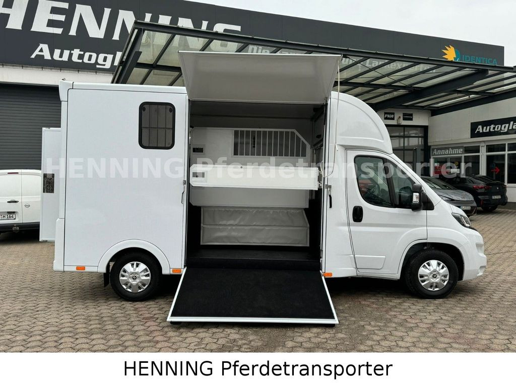 Peugeot Boxer *NEUWAGEN* ca. 1.200kg Nutzlast  - Hästbuss: bild 5 Peugeot Boxer *NEUWAGEN* ca. 1.200kg Nutzlast  - Hästbuss: bild 5