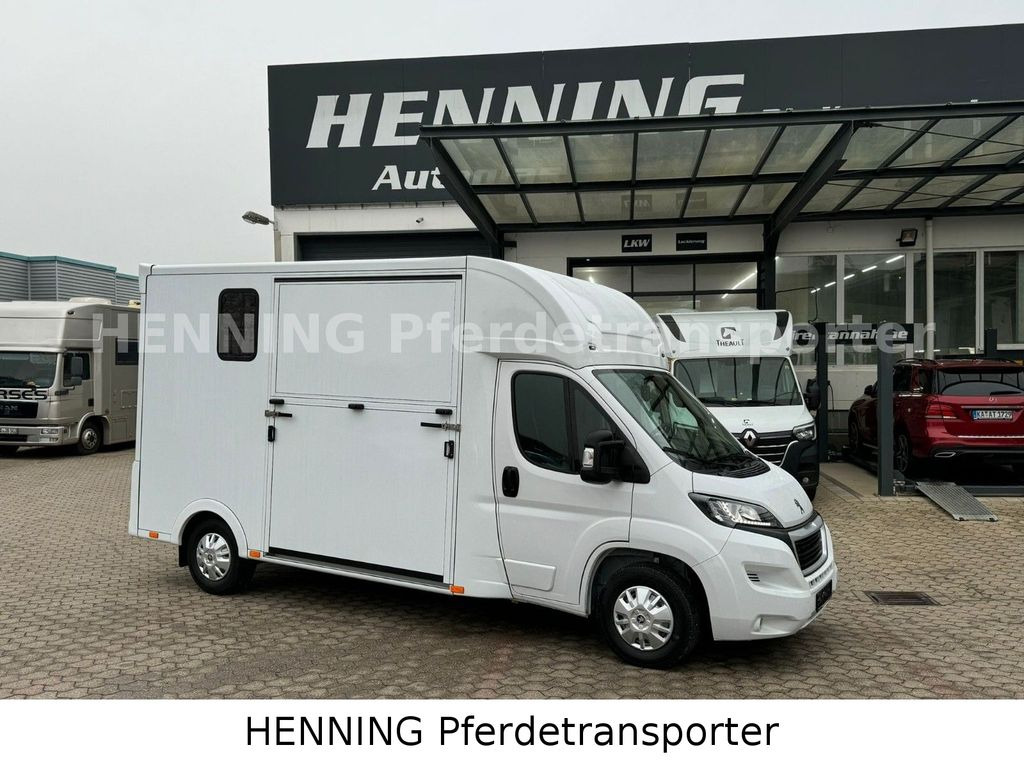 Peugeot Boxer *NEUWAGEN* ca. 1.200kg Nutzlast  - Hästbuss: bild 1 Peugeot Boxer *NEUWAGEN* ca. 1.200kg Nutzlast  - Hästbuss: bild 1