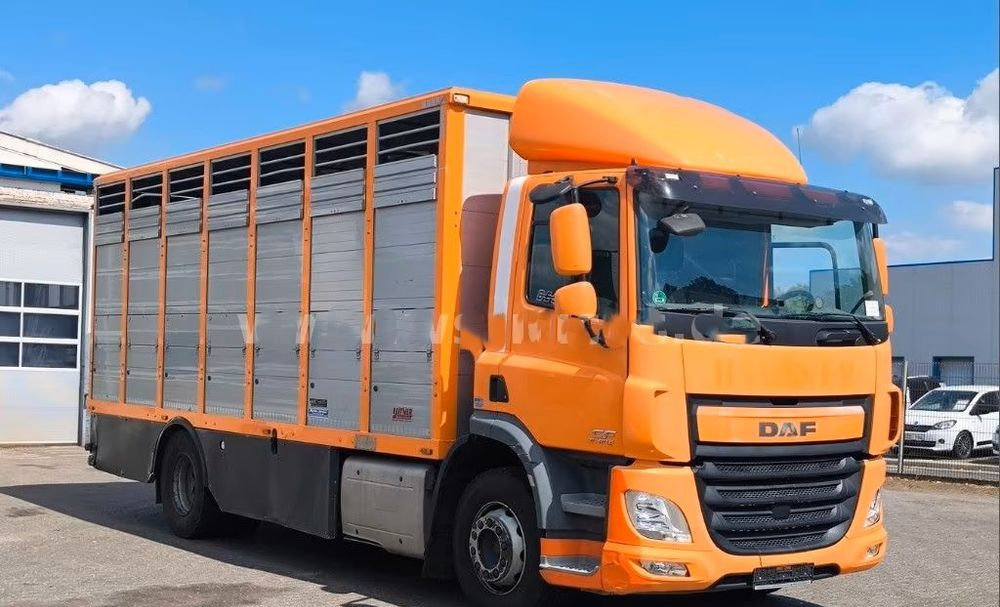 DAF CF 400 Menke Einstock | Transport zwierząt jednopoziomowy | 2 kratownice do bydła| Retarder | Euro 6 - Djurtransport lastbil: bild 5 DAF CF 400 Menke Einstock | Transport zwierząt jednopoziomowy | 2 kratownice do bydła| Retarder | Euro 6 - Djurtransport lastbil: bild 5