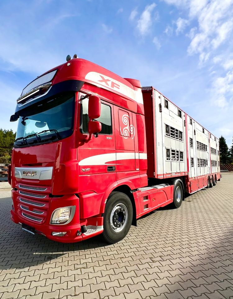 Pezzaioli NACZEPA 2017 / 3 POZIOMY / TRANSPORT ZWIERZĄT / HYDRAULIKA / STEROWANIE PILOTEM/ PODNOSZONY DACH / - Djurtransport semitrailer: bild 5 Pezzaioli NACZEPA 2017 / 3 POZIOMY / TRANSPORT ZWIERZĄT / HYDRAULIKA / STEROWANIE PILOTEM/ PODNOSZONY DACH / - Djurtransport semitrailer: bild 5