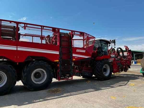 Grimme REXOR 6300 Platinum - Betupptagare: bild 1 Grimme REXOR 6300 Platinum - Betupptagare: bild 1
