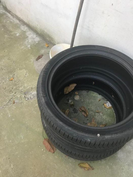 Continental NOI NOU ContisportContact 255 / 40 ZR 21 - Komplett hjul: bild 2 Continental NOI NOU ContisportContact 255 / 40 ZR 21 - Komplett hjul: bild 2