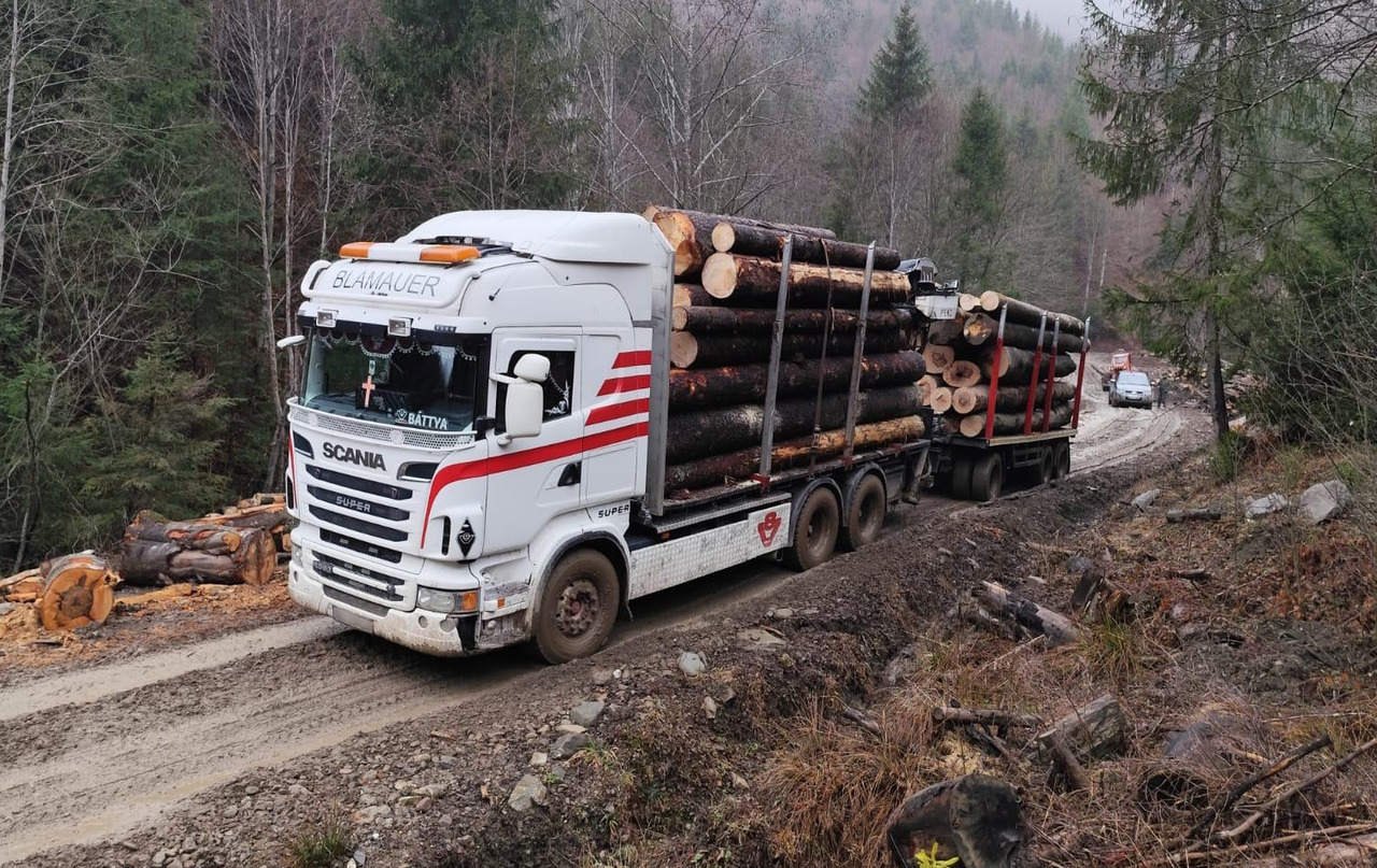 SCANIA R560 V8 - Timmerbil, Kranbil: bild 2 SCANIA R560 V8 - Timmerbil, Kranbil: bild 2