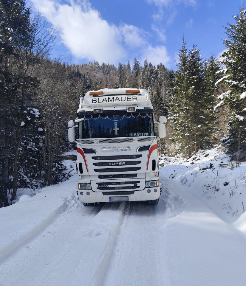 SCANIA R560 V8 - Timmerbil, Kranbil: bild 4 SCANIA R560 V8 - Timmerbil, Kranbil: bild 4