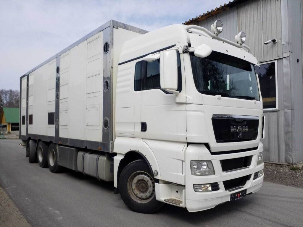MAN TGX 35.540 8X4 TRIDEM ANIMAL - Djurtransport lastbil: bild 4 MAN TGX 35.540 8X4 TRIDEM ANIMAL - Djurtransport lastbil: bild 4