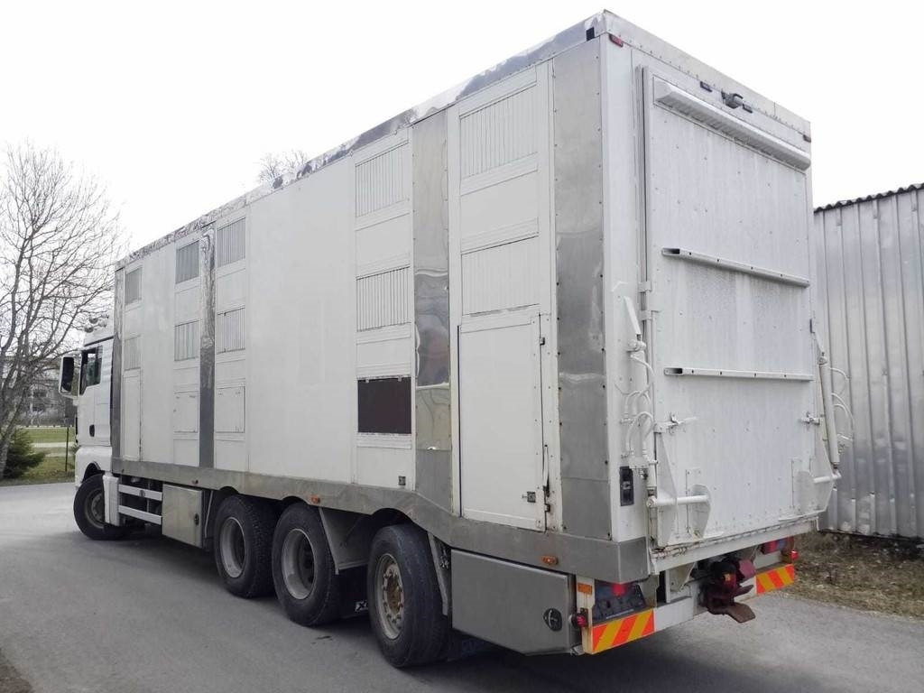 MAN TGX 35.540 8X4 TRIDEM ANIMAL - Djurtransport lastbil: bild 2 MAN TGX 35.540 8X4 TRIDEM ANIMAL - Djurtransport lastbil: bild 2