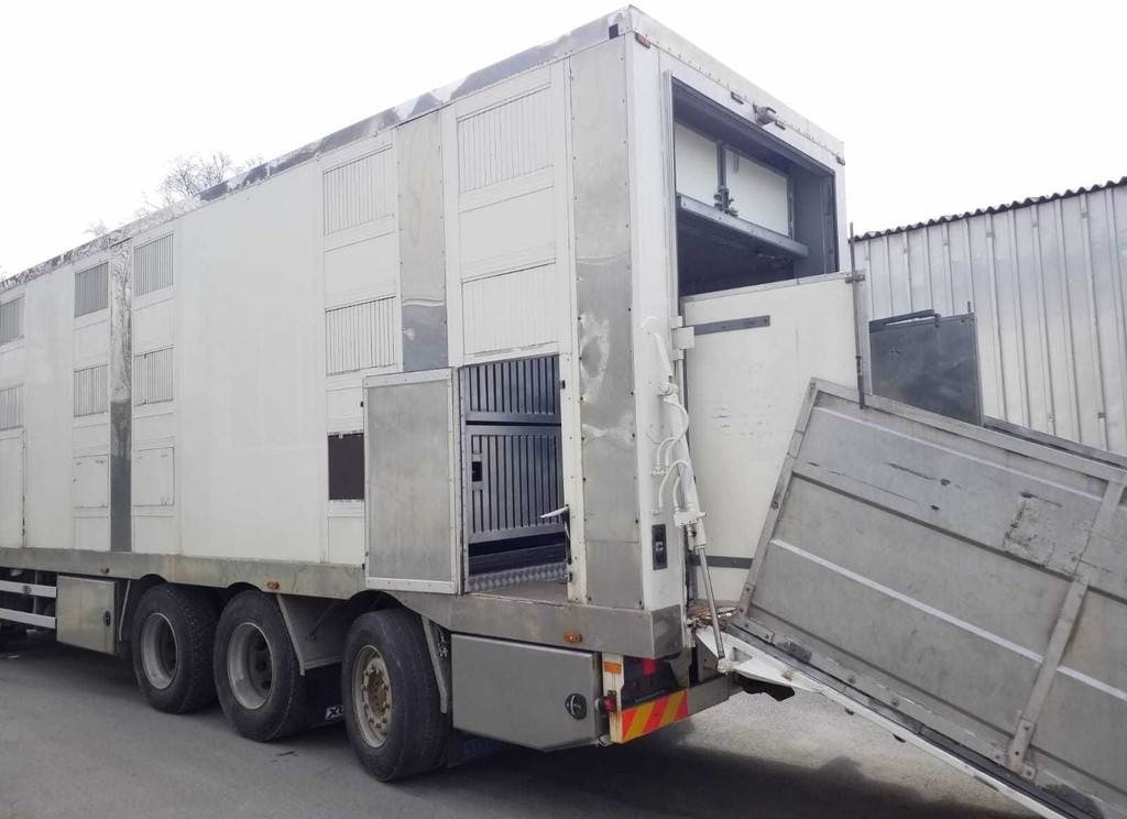 MAN TGX 35.540 8X4 TRIDEM ANIMAL - Djurtransport lastbil: bild 5 MAN TGX 35.540 8X4 TRIDEM ANIMAL - Djurtransport lastbil: bild 5