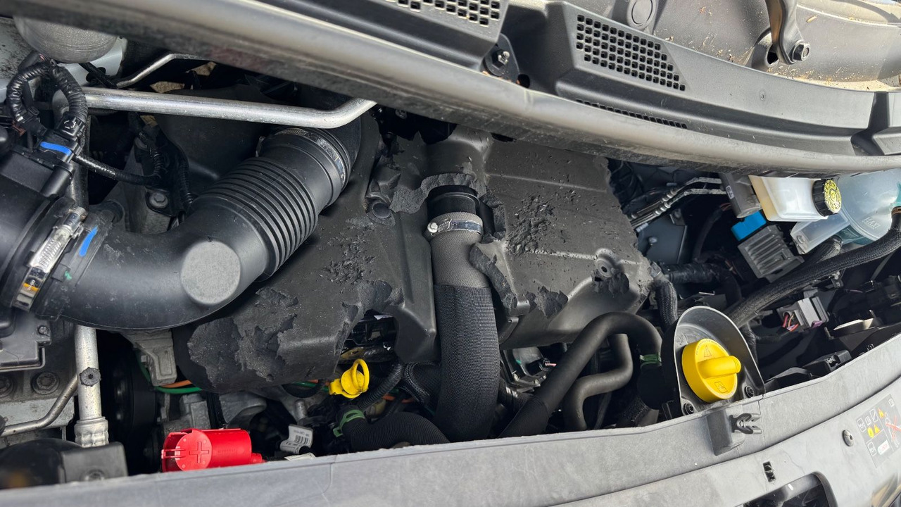 Leasa Renault Master III Kasten L3H2 7Sitzer 1.Hand MIXTO DOKA Renault Master III Kasten L3H2 7Sitzer 1.Hand MIXTO DOKA: bild 17 Leasa Renault Master III Kasten L3H2 7Sitzer 1.Hand MIXTO DOKA Renault Master III Kasten L3H2 7Sitzer 1.Hand MIXTO DOKA: bild 17