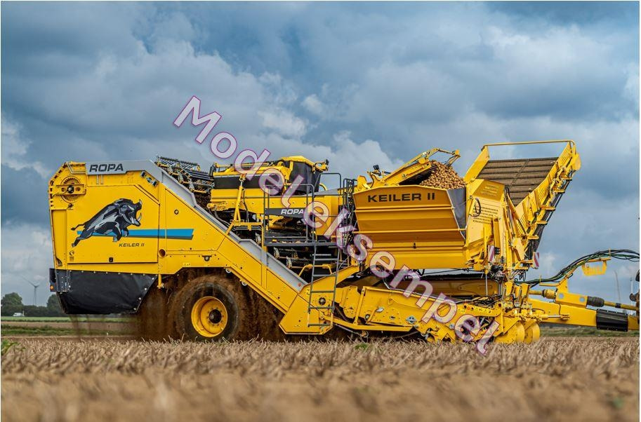 Ropa KEILER II L WD RK22 - Potatisupptagare: bild 1 Ropa KEILER II L WD RK22 - Potatisupptagare: bild 1