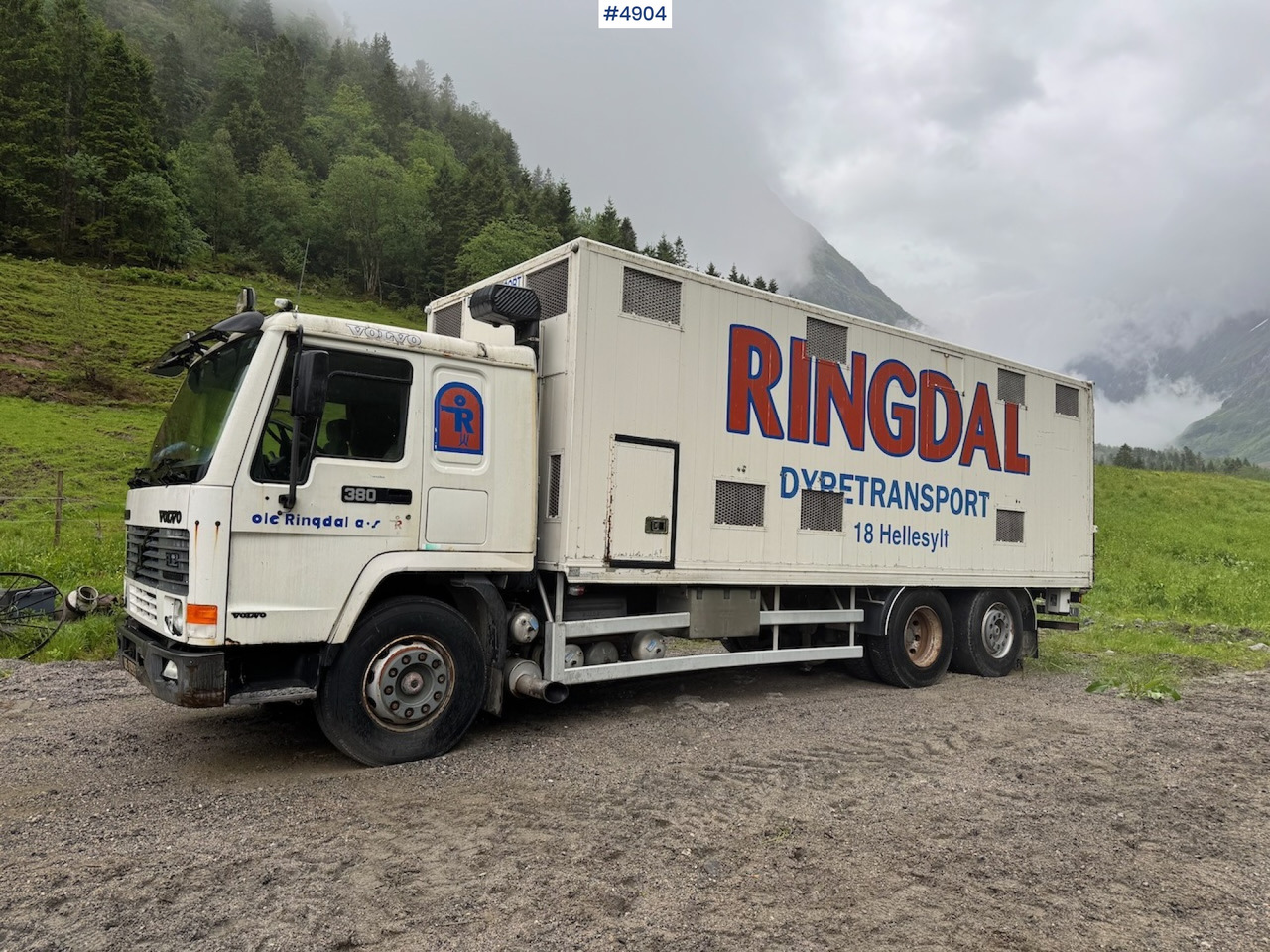 1996 Volvo FL12 6x2 Animal transport. - Djurtransport lastbil: bild 5 1996 Volvo FL12 6x2 Animal transport. - Djurtransport lastbil: bild 5