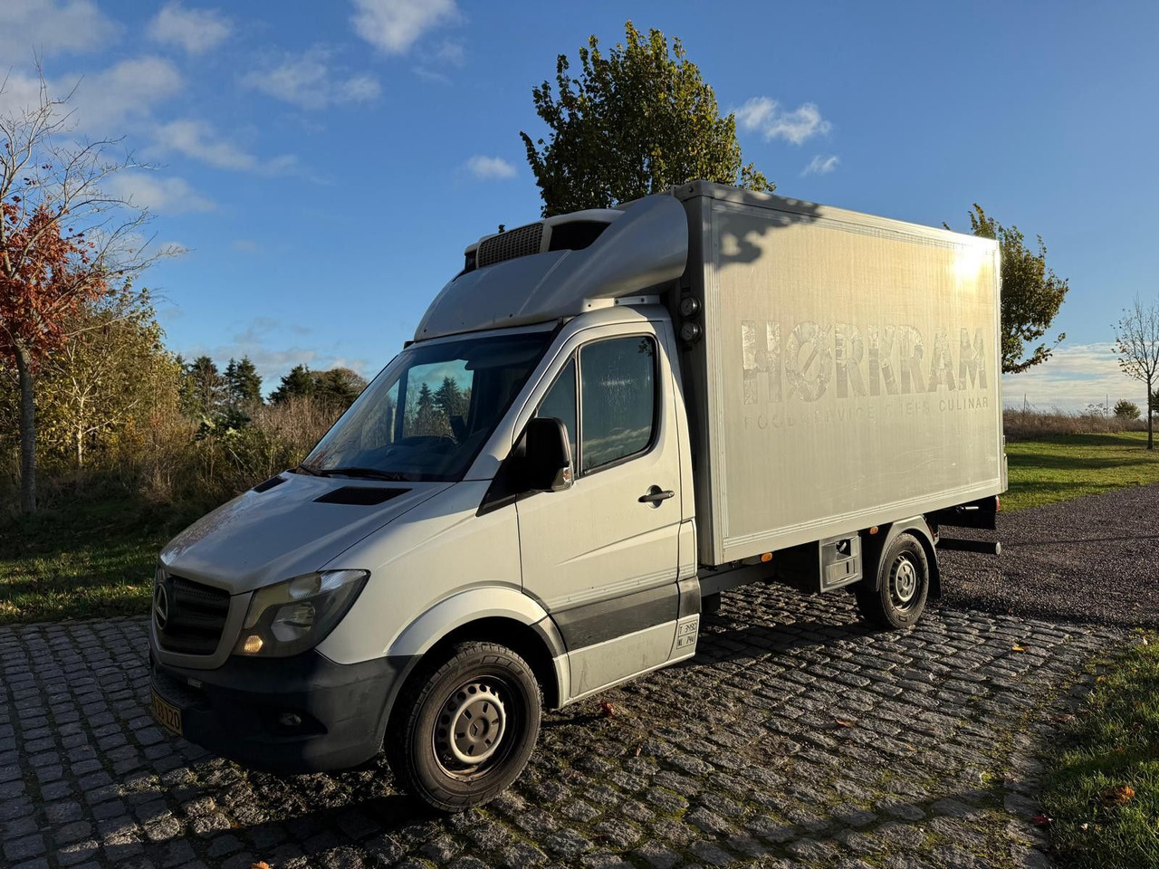 Mercedes-Benz Sprinter II 316 CDI Aut. Refigerator BOX +Lift - Kylbil: bild 2 Mercedes-Benz Sprinter II 316 CDI Aut. Refigerator BOX +Lift - Kylbil: bild 2