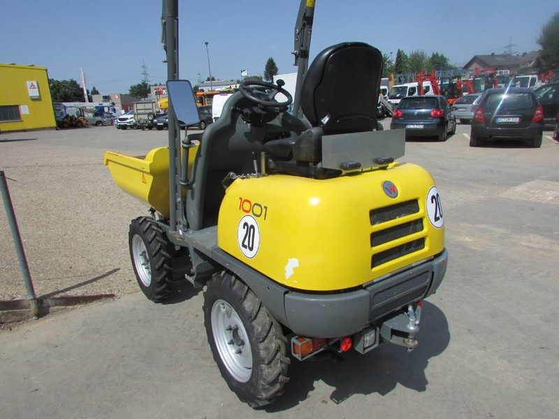 WACKER NEUSON 1001 Minidumper 18.000 netto Hochkippmulde - Dumper: bild 3 WACKER NEUSON 1001 Minidumper 18.000 netto Hochkippmulde - Dumper: bild 3
