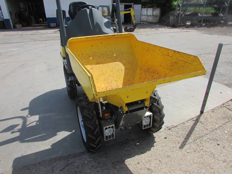 WACKER NEUSON 1001 Minidumper 18.000 netto Hochkippmulde - Dumper: bild 2 WACKER NEUSON 1001 Minidumper 18.000 netto Hochkippmulde - Dumper: bild 2
