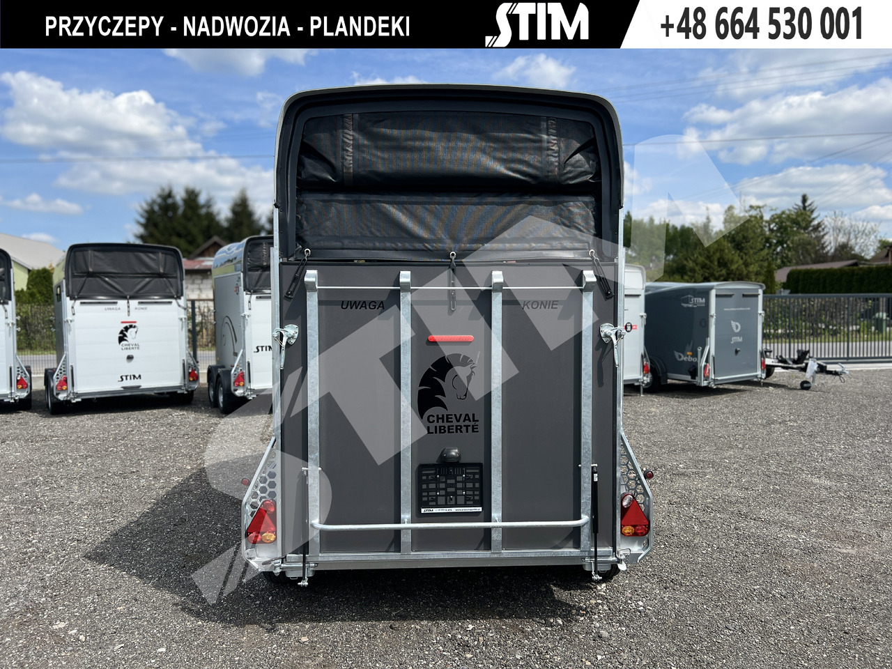 Cheval Liberté GOLD ORIGINS PODŁOGA ALU, BOKI SKLEJKA PPL - Hästsläp: bild 5 Cheval Liberté GOLD ORIGINS PODŁOGA ALU, BOKI SKLEJKA PPL - Hästsläp: bild 5