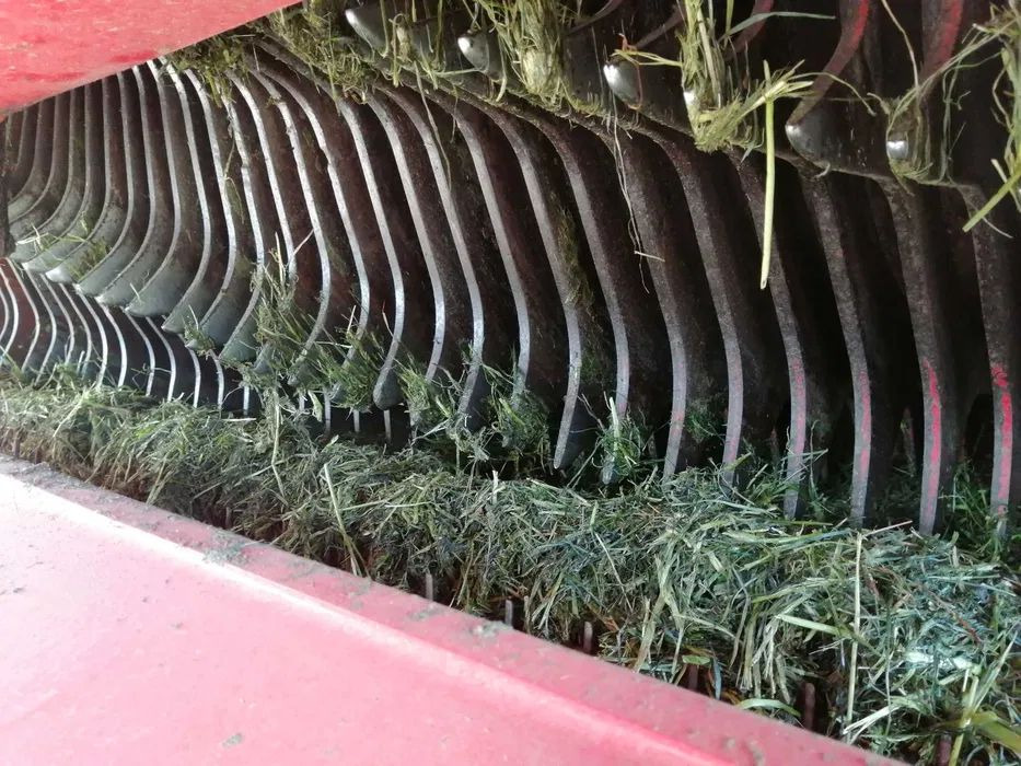 Pottinger TORRO 570 - Ensilagevagn: bild 5 Pottinger TORRO 570 - Ensilagevagn: bild 5