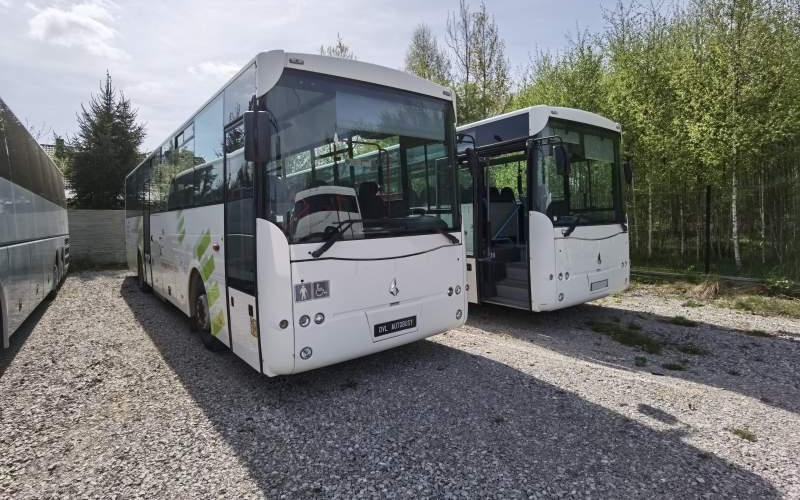 Leasa MAN Fast Starter 2011 *winda* crossway intouro recreo MAN Fast Starter 2011 *winda* crossway intouro recreo: bild 37 Leasa MAN Fast Starter 2011 *winda* crossway intouro recreo MAN Fast Starter 2011 *winda* crossway intouro recreo: bild 37