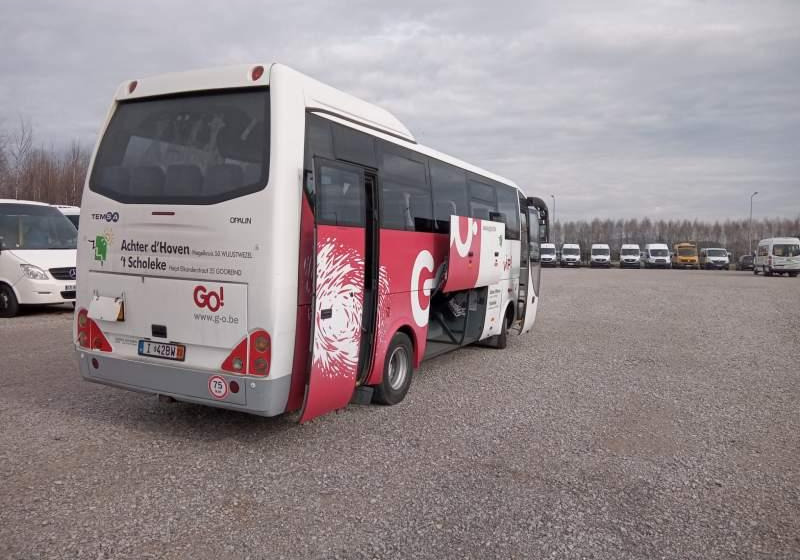 Leasa  Temsa opalin 9 2 SZTUKI IDENTYCZNE Temsa opalin 9 2 SZTUKI IDENTYCZNE: bild 11