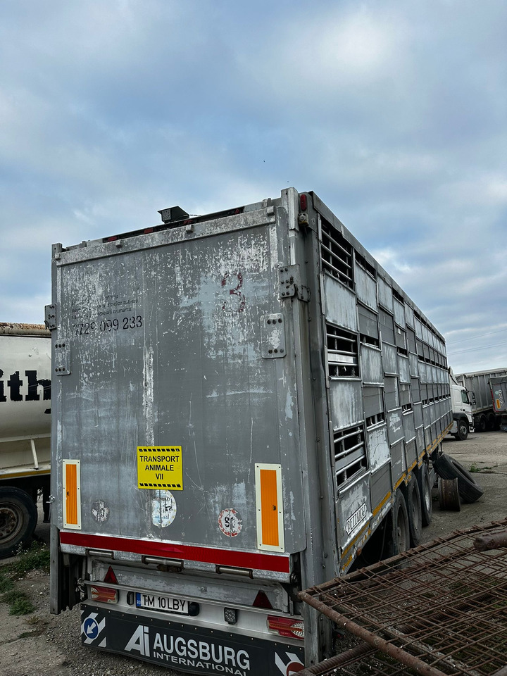 PEZZAIOLLI Animal Transport Semi-trailer - Djurtransport semitrailer: bild 3 PEZZAIOLLI Animal Transport Semi-trailer - Djurtransport semitrailer: bild 3