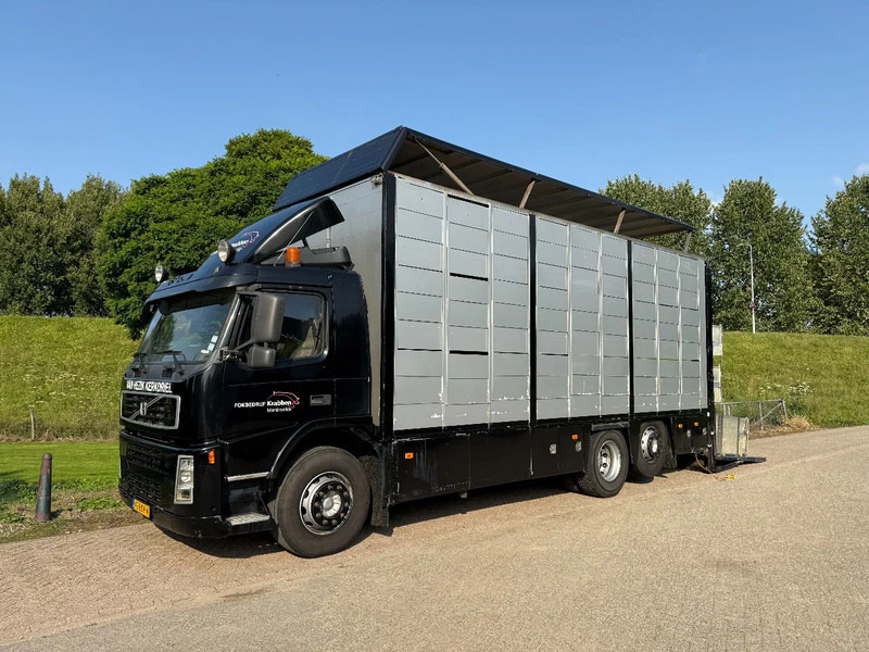 Volvo FM 300 Livestock Cuppers 3 laags 6x2 - Djurtransport lastbil: bild 1 Volvo FM 300 Livestock Cuppers 3 laags 6x2 - Djurtransport lastbil: bild 1