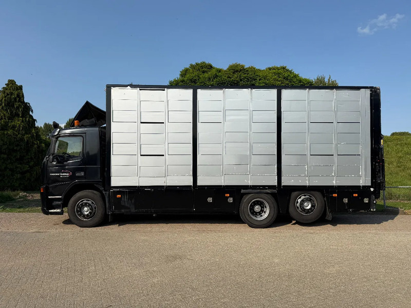 Volvo FM 300 Livestock Cuppers 3 laags 6x2 - Djurtransport lastbil: bild 4 Volvo FM 300 Livestock Cuppers 3 laags 6x2 - Djurtransport lastbil: bild 4