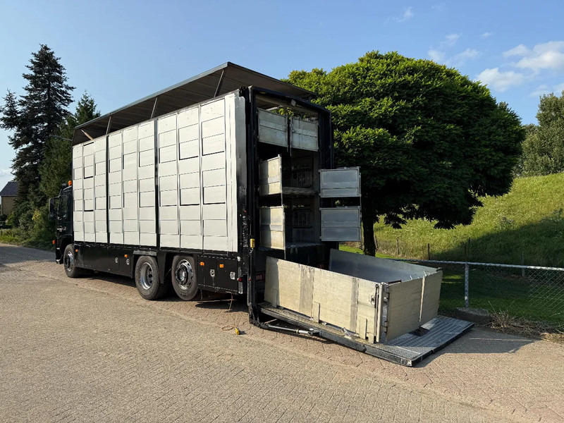 Volvo FM 300 Livestock Cuppers 3 laags 6x2 - Djurtransport lastbil: bild 2 Volvo FM 300 Livestock Cuppers 3 laags 6x2 - Djurtransport lastbil: bild 2
