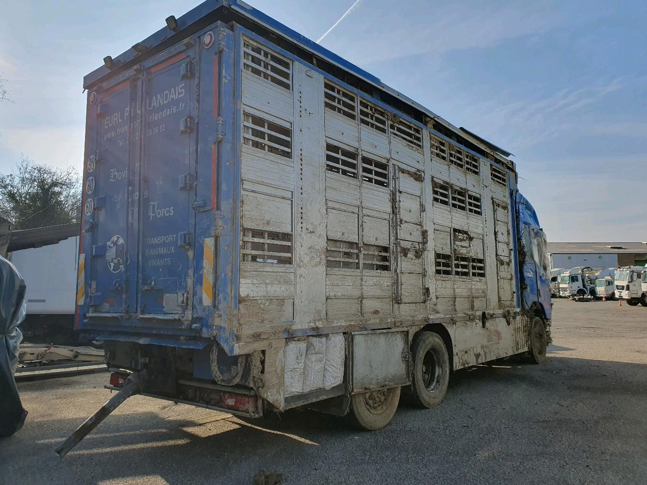 SCANIA R580 - Djurtransport lastbil: bild 4 SCANIA R580 - Djurtransport lastbil: bild 4