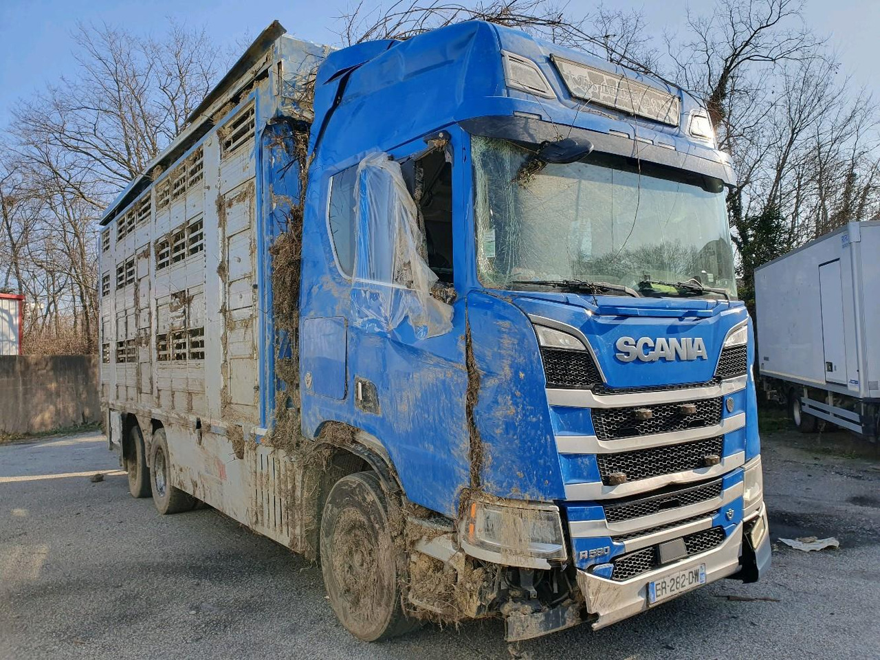 SCANIA R580 - Djurtransport lastbil: bild 1 SCANIA R580 - Djurtransport lastbil: bild 1